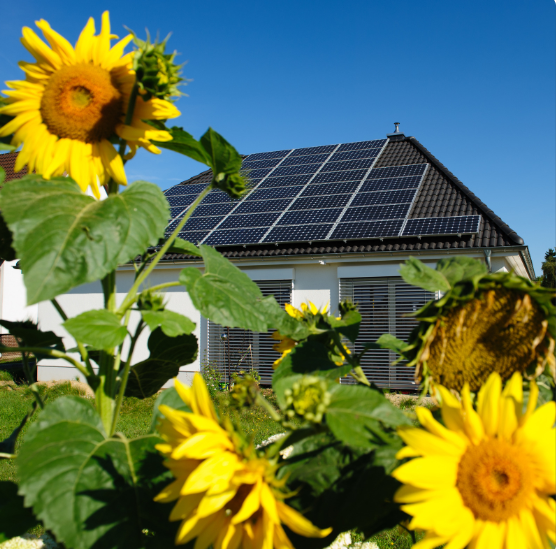 кто покупает солнечне панели